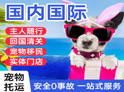 黄花机场物流国际宠物托运 【国